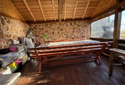 Cabana, 4 camere, 120 mp, teren 410 mp, Marisel - 16