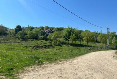 Teren Intravilan 650-700mp Bucium Iași Piatra Sfântă, CU pt Casă, 35.000€ - 3