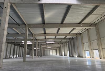 Hala premium disponibila de 9,500 mp pentru depozitare si logistica - 3