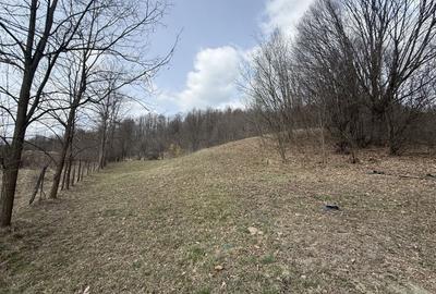 Teren 6040 mp la baza pădurii deschidere 40 ml - 13