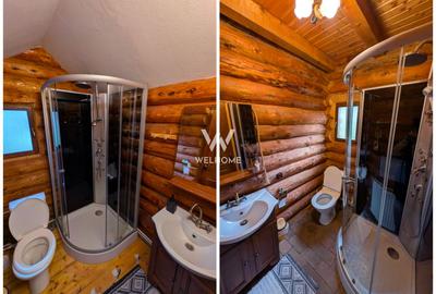 Cabana / Casa de vacanta pe Transfagarasan - Sibiu - 9