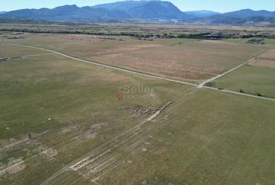 Teren extravilan Rasnov - 17