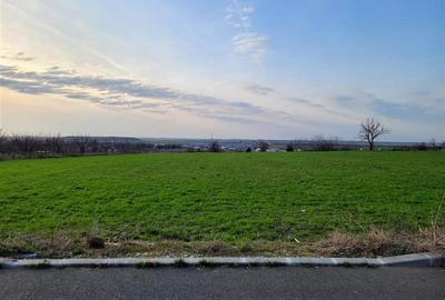 Teren extravilan,Episcopia ,Zona Calea BIhorului,Oradea