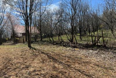 Breaza - str.Plaiului, Coasta Berzei nr.54, teren 1600 mp - 8