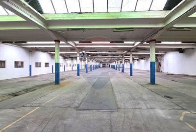 Inchiriere hale industriale lângă Brașov, Prejmer, Lunca Calnicului - 11