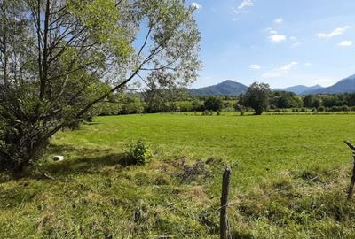 Teren 9350 mp Bran Livada, Extravilan - 6