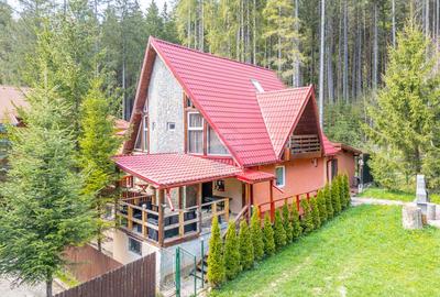 Vila cocheta în Azuga, lângă pădure, cu priveliște superbă la munți - 19