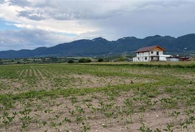 Teren de vanzare la intrarea in Zarnesti (Zona Penny ). Excelent pentru dezvolta - 1