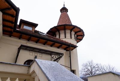 Domeniu fabulos zona Varatec - 4