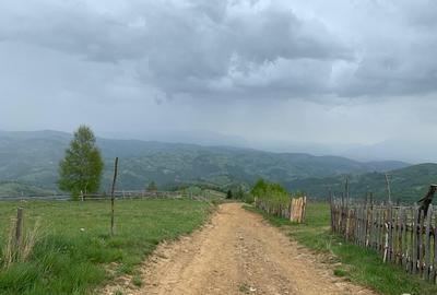 Teren extravilan 2ha, priveliste panoramica spre munti /Poiana Marului - 2