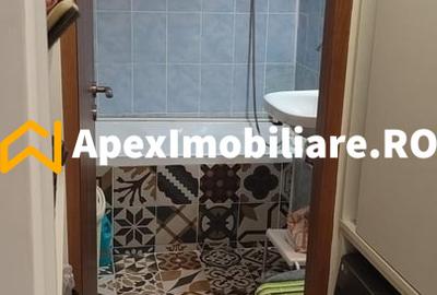 Apartament 3 camere de inchiriat Gorjului București | ApexImobiliare.ro - 6
