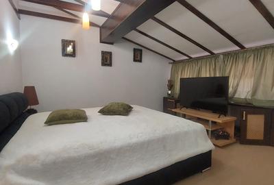 Vilă deosebită P+M în Corbeanca (Sat Ostratu) – Teren de 1.200 mp, - 18