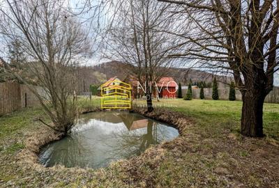 Casă singur în curte – Mureș – Câmpu Cetății - 30