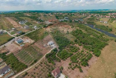 Teren intravilan 1,163mp de vânzare în Săldabagiu De Munte - 4