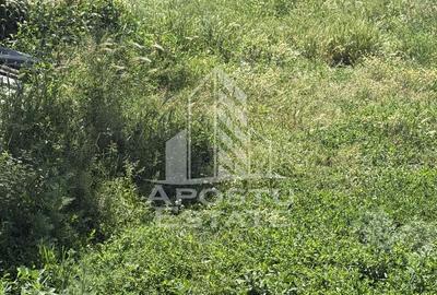Casă veche în Bazos cu teren 1439 mp - 5