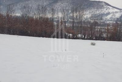 Teren intravilan 2.295 mp, deschidere 60 m – Rășinari, comision 0% - 10