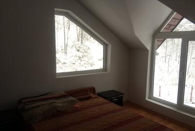 CASA DE VACANTA - TISMANA - GORJ - 5
