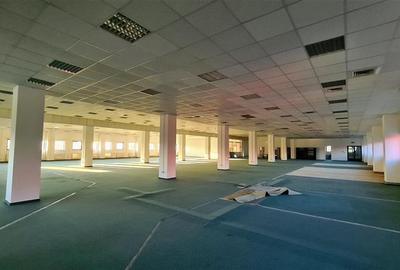 Spatiu show room, 1500 mp , parcare , Calea Lugojului - 3