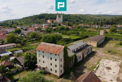 Hală spațioasă în Lipova oportunitate investiție - 23