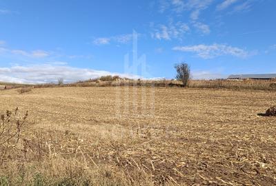 Teren agricol extravilan de 9300 mp, în Șura Mare