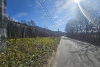 Teren 690 mp, deschidere 50 m, utilități – 1 km Primăria Ștefănești - 5