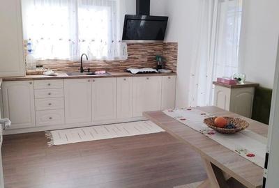 Vila/curte amenajata ideala pentru familie,acces rapid catre Bucuresti - 15