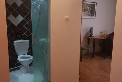 Apartament trei camere decomandat, mobilat, etaj unu, doua balcoane, Alecsandri - 9
