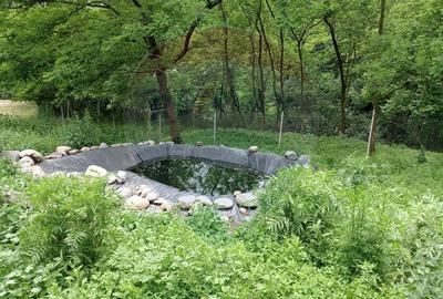 Vanzare casa  4 camere-microferma, cu panouri fotovoltaice - 28