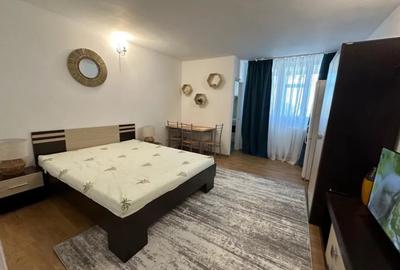 Apartament cu 1 camera in Podul De Piatra - 2