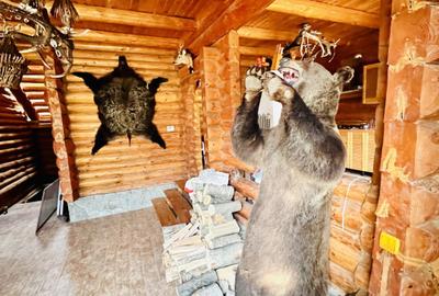Cabana vânătorească din lemn cu vedere spectaculoasa, langa Castelul Cantacuzino - 25
