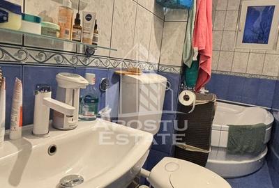 Apartament cu 3 camere renovate de vanzare in zona Sagului, Timisoara - 7