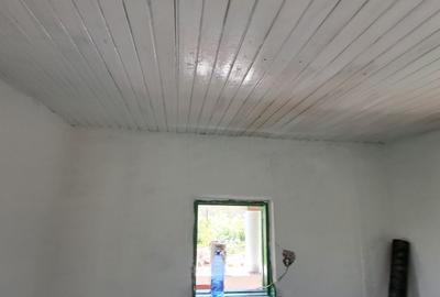 Casă individuală cu 2 camere în Cătunu (Cornești)
