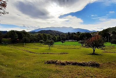 Teren superb de 16240mp, parcelabil, in Bran la intrare in Moeciu de Jos - 19