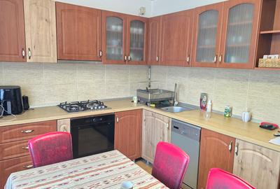 Vand casa in Deva, S+P+M + filigorie, zona Viile Noi (str. Luncii), - 8