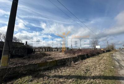 Teren cu potențial industrial și logistic – DN72A, Dragomirești, jud. Dâmbovița - 3