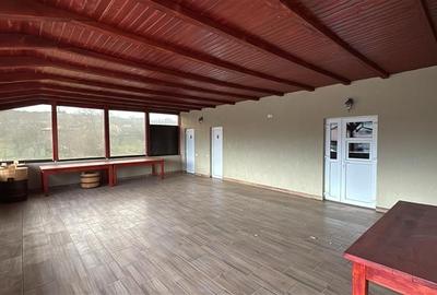 De vanzare spatiu comercial cu teren de 80 arii, Santioana, Jud Mures - 15