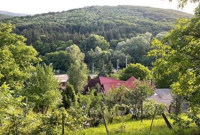 310 mp-Vila, P+M si P+1E, Valea Budului, Bacau - 26