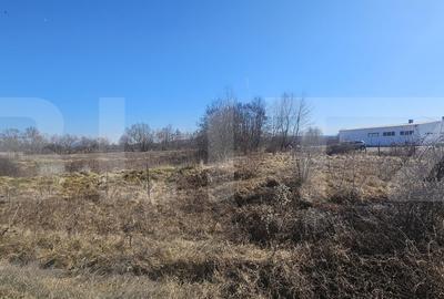 Teren Construcții intravilan de 3500 mp, în Sântuhalm