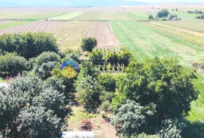 CASĂ cu teren 5803 mp GIROV, judetul Neamț - 3