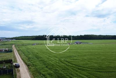 OPORTUNITATE INVESTIȚIE:Teren intravilan 25.000mp Dascălu-Pădure, parcelabil - 10