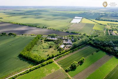 Cladire industriala de vanzare cu potential 3,5 ha in Batania - 13
