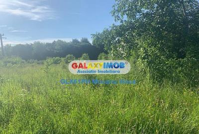 Teren Construcții intravilan de 1193 mp, în Păulești