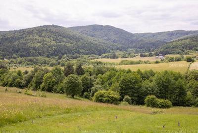 Teren 4200mp cu potențial turistic în Vulcan BV–vedere panoramică - 7