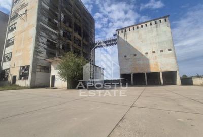 PLATFORMĂ INDUSTRIALĂ 3HA SILOZURI 50M ACCES CFR SÂNNICOLAU MARE - 4