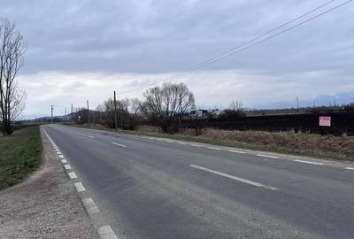 Teren 50000mp Extravilan-Intrare Halchiu-Cod 5235 - 3