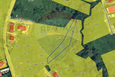 Teren 1,450mp Cluj-Napoca / Strada Campului - 1