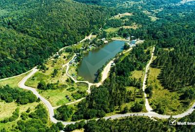 Teren 5000 mp,  la 300 m de Lacul Micesti - 1