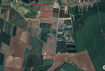 Teren 4,000mp DN1, Dubla Deschidere 50M - 1