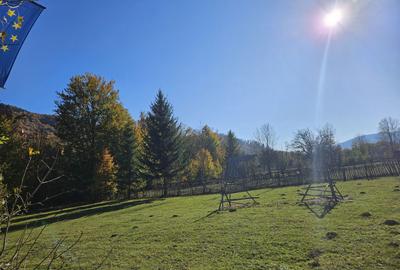 Vila 7 camere 320 mp- Valea Neagra-Prahova, mobilata/utilata complet! - 37