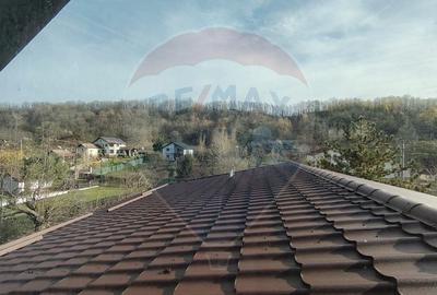 Lux Mediteranean si Intimitate pe 4.000 mp Domeniu Privat Gura Vaii - 14